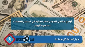 تراجع مفاجئ الدولار أمام الجنيه في أسعار العملات المصرية اليوم.